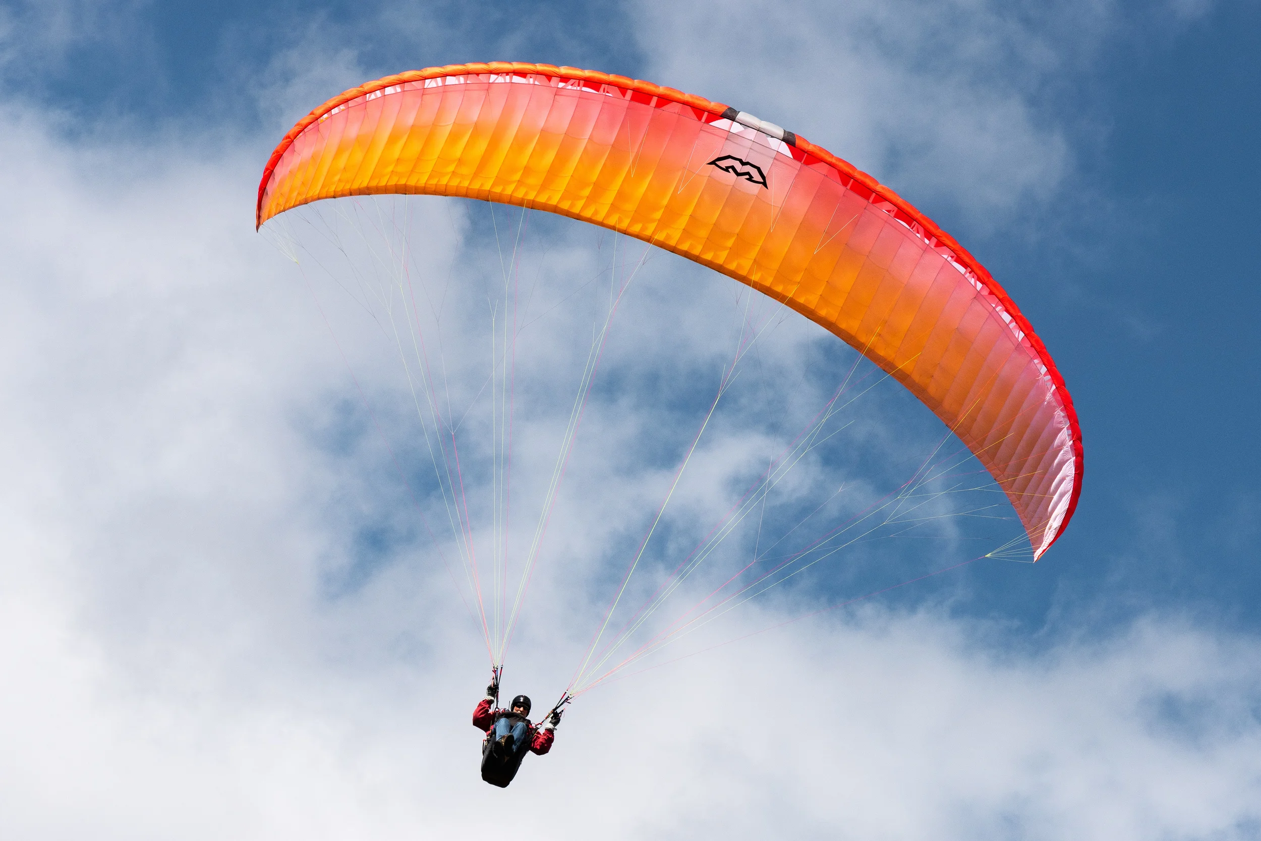 Paraglider in the air