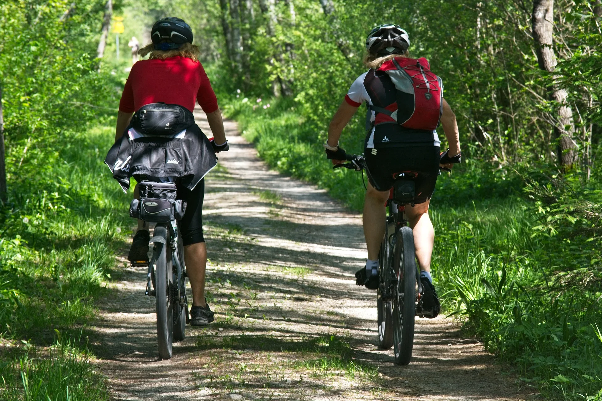 mountain bikers on a trail