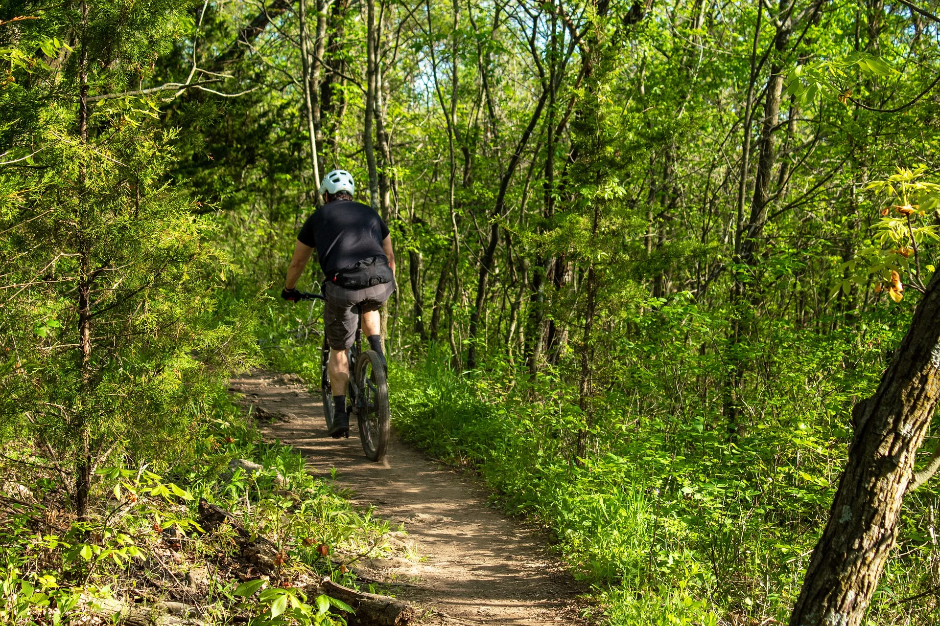 mountain biker on a trail